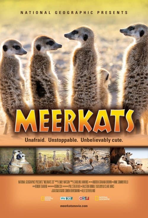Meerkats 3D (2011) movie poster