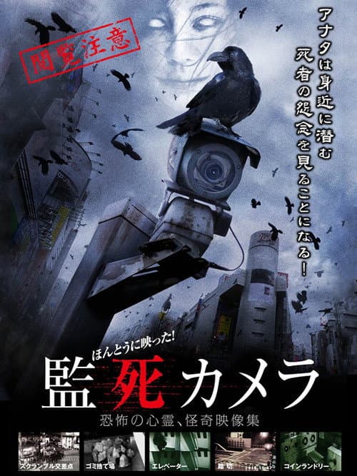 Affiche du film ほんとうに映った!監死カメラ (2012)