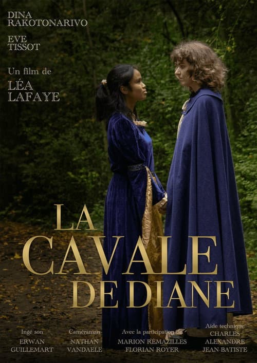 Affiche du film La cavale de Diane