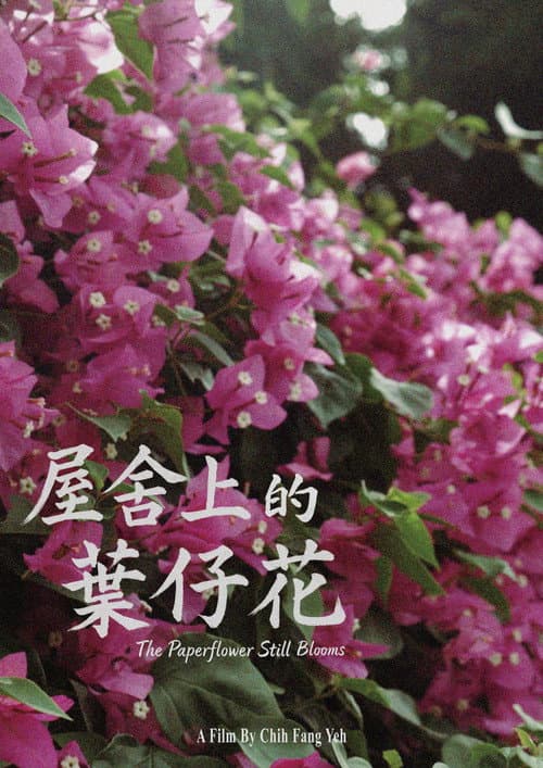 屋舍上的葉仔花 (2025) movie poster