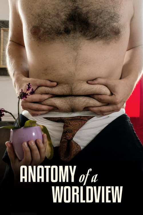 Anatomie eines Weltverständnisses (2020) movie poster