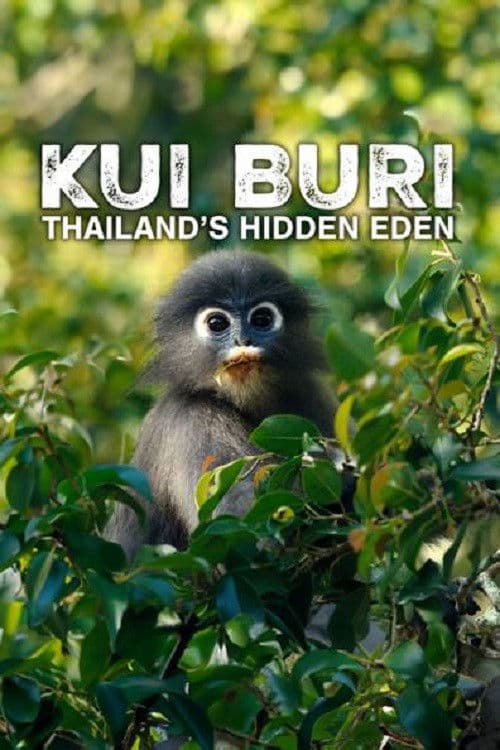 Affiche du film Kui Buri: Thailand's Hidden Eden (2025)