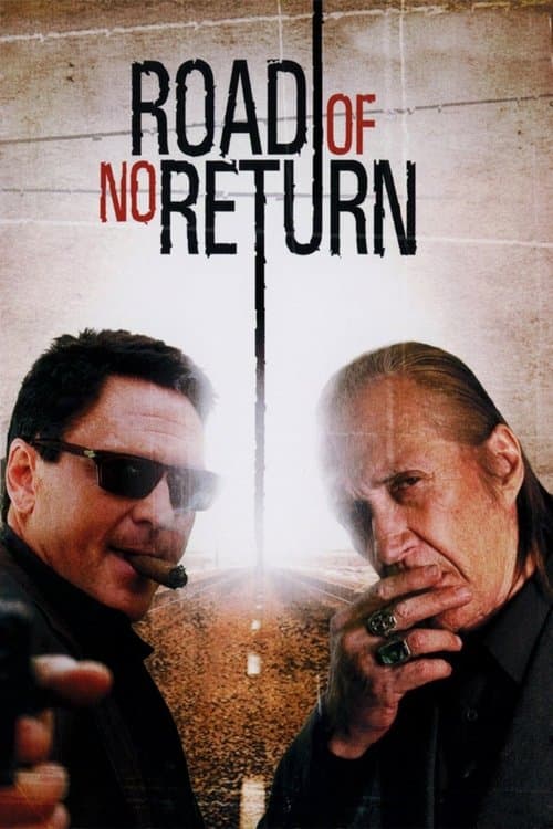 Affiche du film Road of No Return (2009)