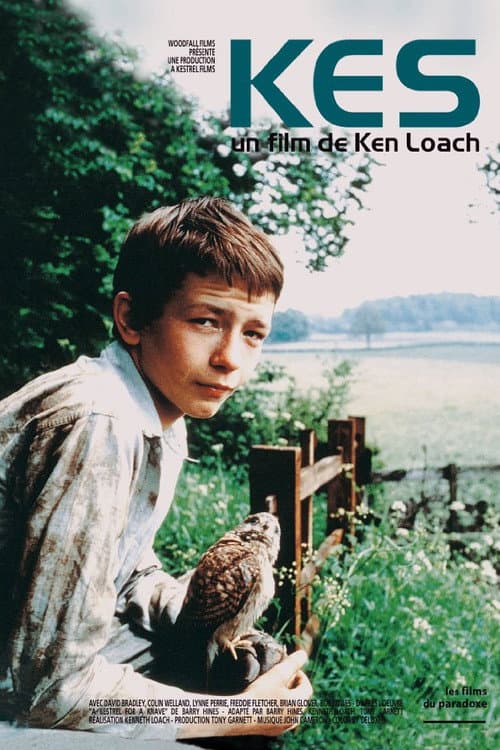 Affiche du film Kes (1970)