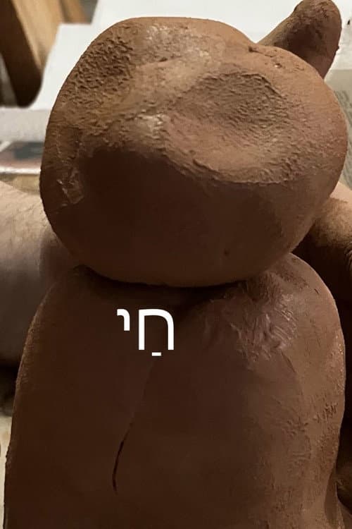 ملصق فيلم חַי (2025)