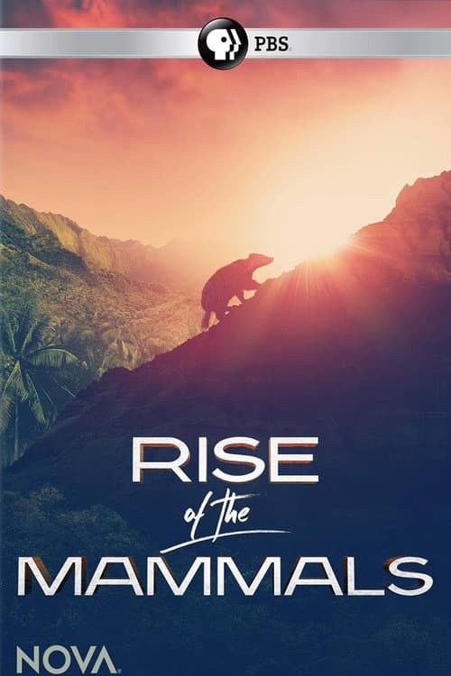 Affiche du film Rise of the Mammals (2019)