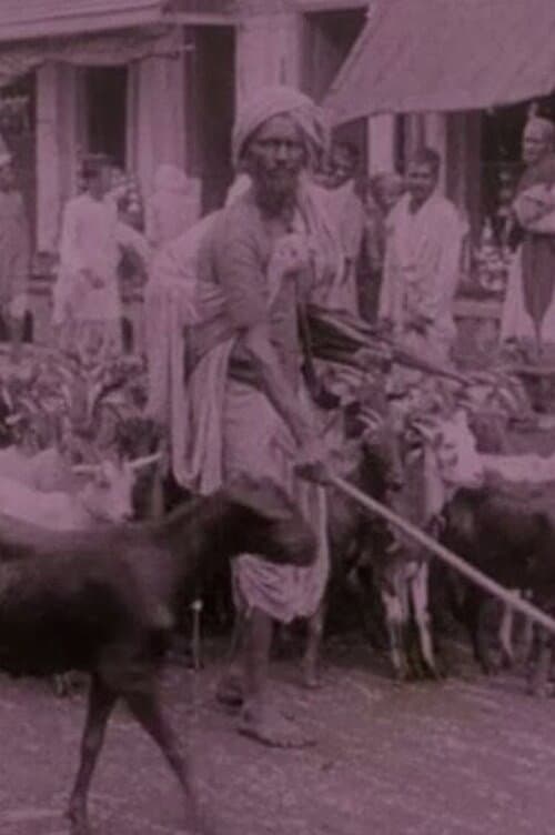 ملصق فيلم Picturesque India or, In and About Calcutta (1913)