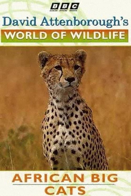 World of Wildlife: African Big Cats (1995) movie poster
