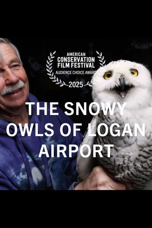 ملصق فيلم The Snowy Owls of Logan Airport (2024)