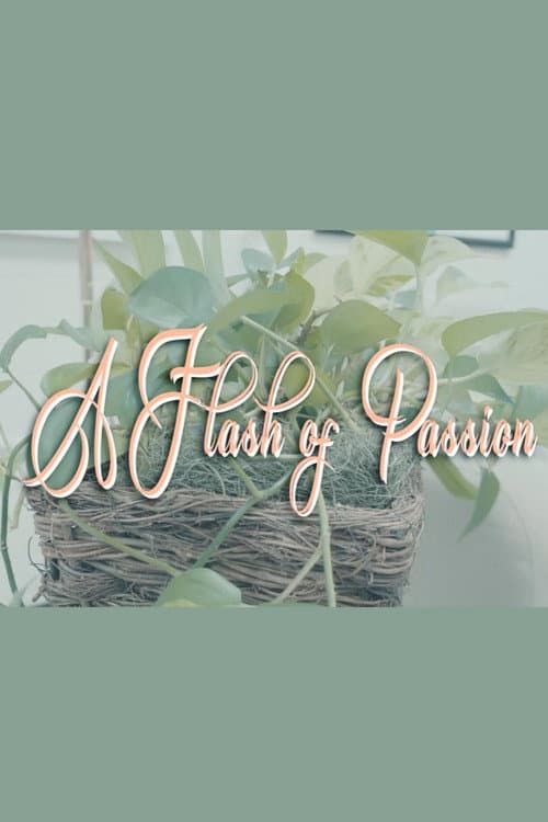 ملصق فيلم A Flash Of Passion (2025)