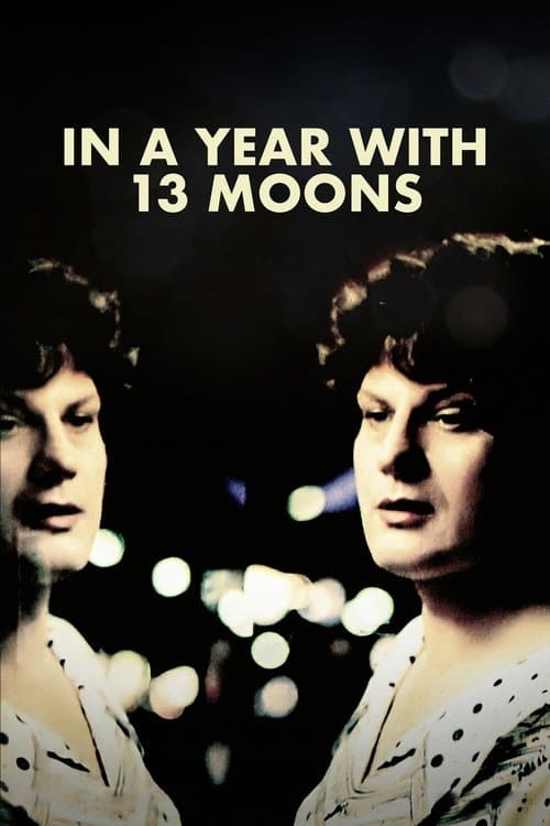 In einem Jahr mit 13 Monden (1978) movie poster