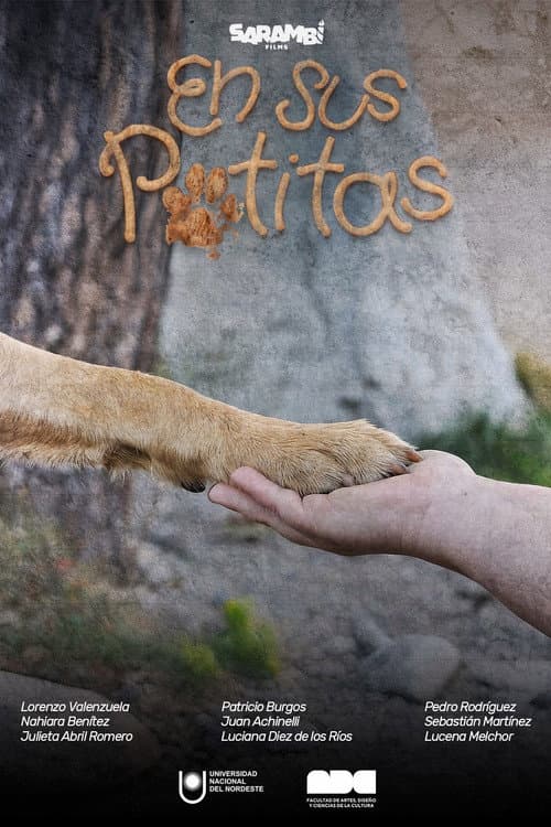 En Sus Patitas movie poster