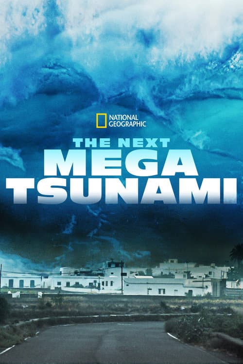 The Next Mega Tsunami (2014) movie poster
