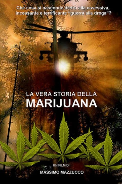 Affiche du film La vera storia della marijuana (2010)