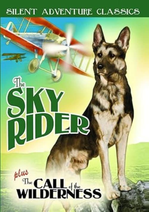 ملصق فيلم The Sky Rider (1928)