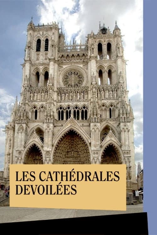 ملصق فيلم Les Cathédrales dévoilées (2010)
