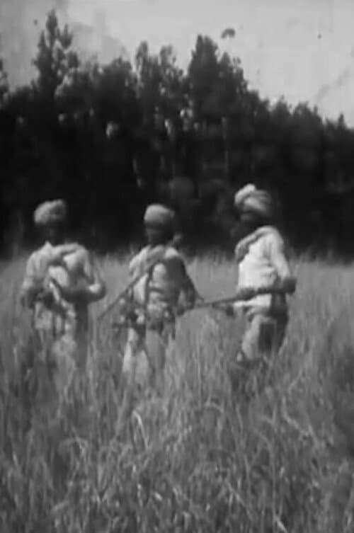 ملصق فيلم Duke of Connaught's Indian Tour (1921)