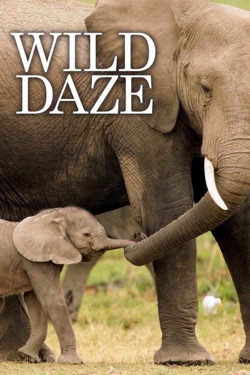 Affiche du film Wild Daze (2020)