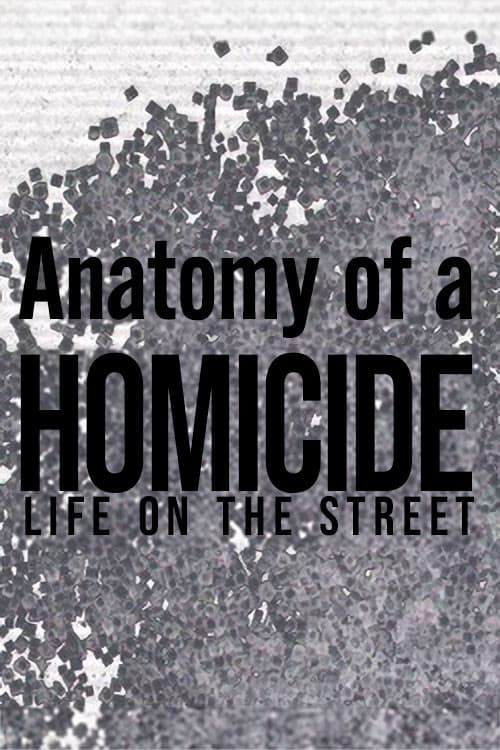 Anatomy of a 'Homicide: Life on the Street' (1998) movie poster