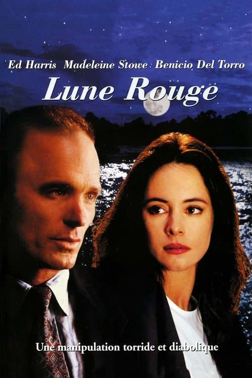 Affiche du film China Moon (1994)