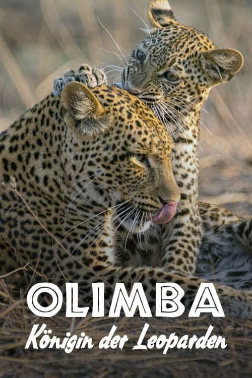 ملصق فيلم Olimba, Königin der Leoparden (2020)