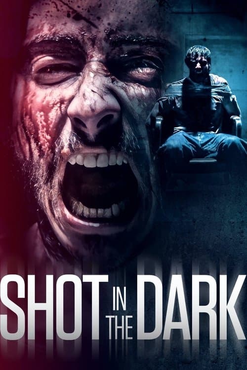 ملصق فيلم Shot in the Dark (2021)