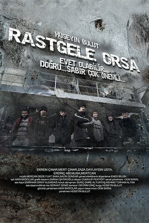Affiche du film Rastgele Orsa (2012)