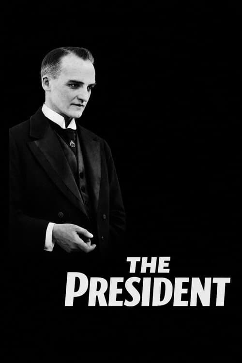 Præsidenten (1919) movie poster