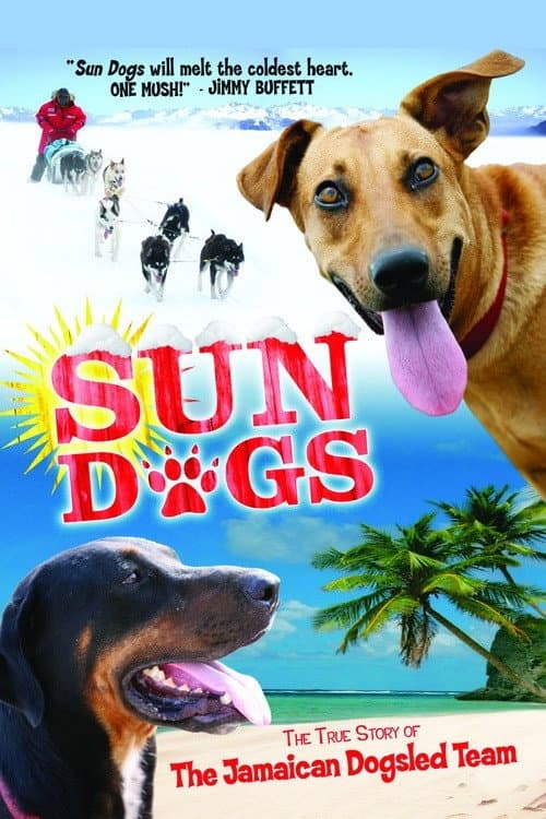 Sun Dogs (2007) movie poster