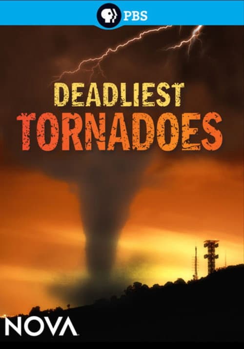 Deadliest Tornadoes (2012) movie poster