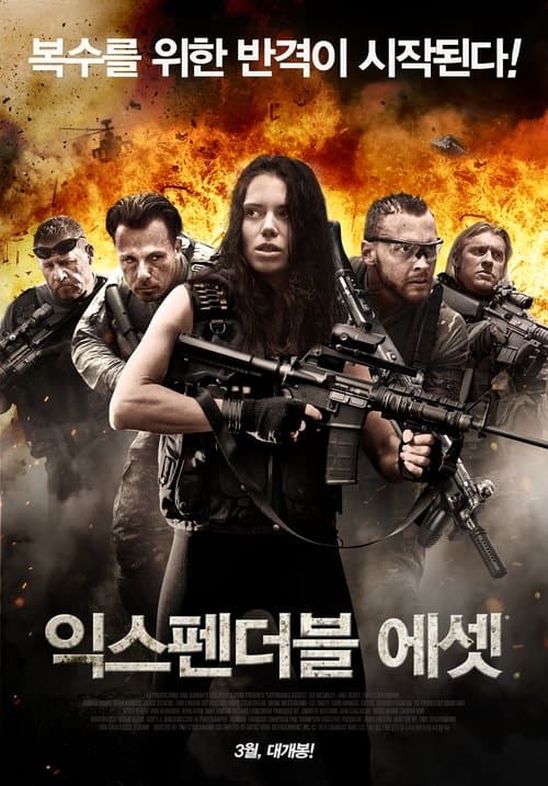 Expendable Assets (2016) movie poster