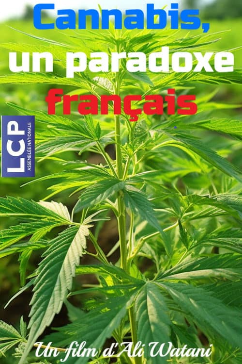 ملصق فيلم Cannabis, un paradoxe français (2025)