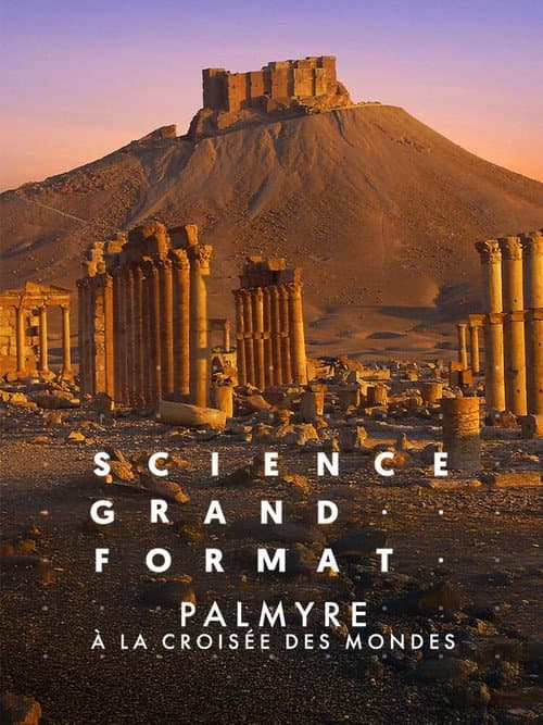 ملصق فيلم Palmyre, à la croisée des mondes (2024)