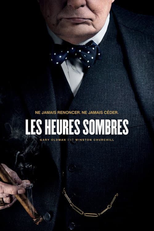 Affiche du film Darkest Hour (2017)