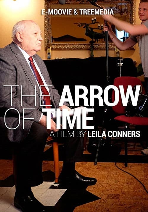 Affiche du film The Arrow of Time (2017)