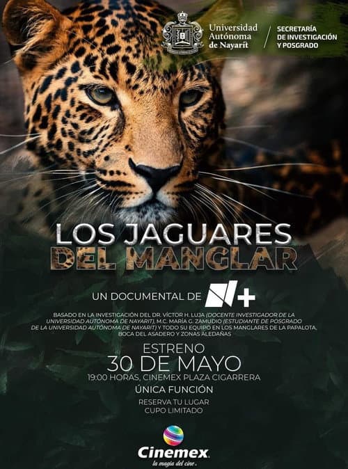 Los Jaguares del Manglar (2023) movie poster