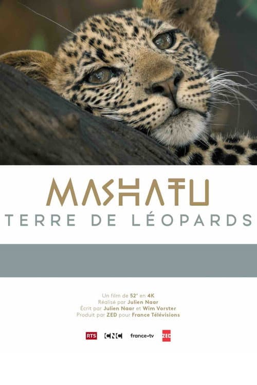 Affiche du film Mashatu: Land of Leopards (2024)