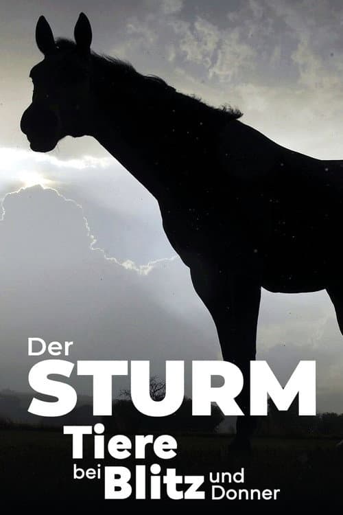 ملصق فيلم Der Sturm - Tiere bei Blitz und Donner (2023)