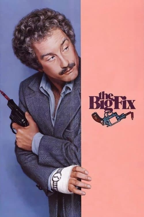 Affiche du film The Big Fix (1978)
