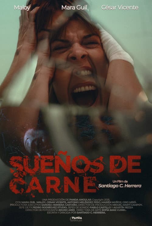 ملصق فيلم Sueños de Carne (2026)