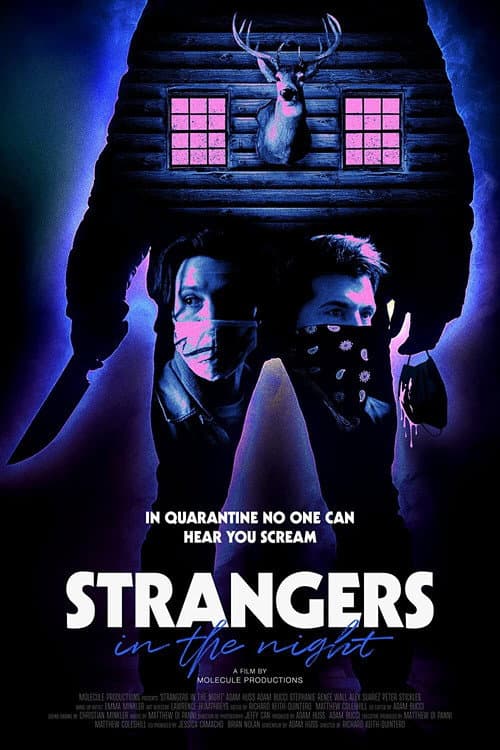 ملصق فيلم Strangers in the Night (2021)