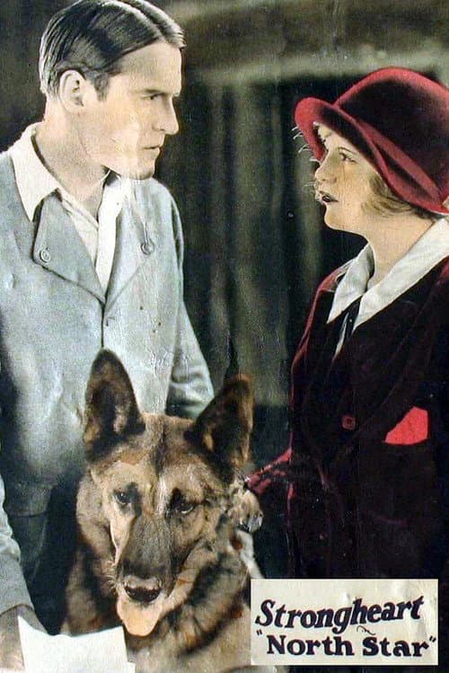 North Star (1925) movie poster