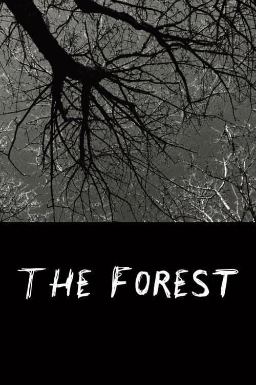 Affiche du film The Forest (2025)