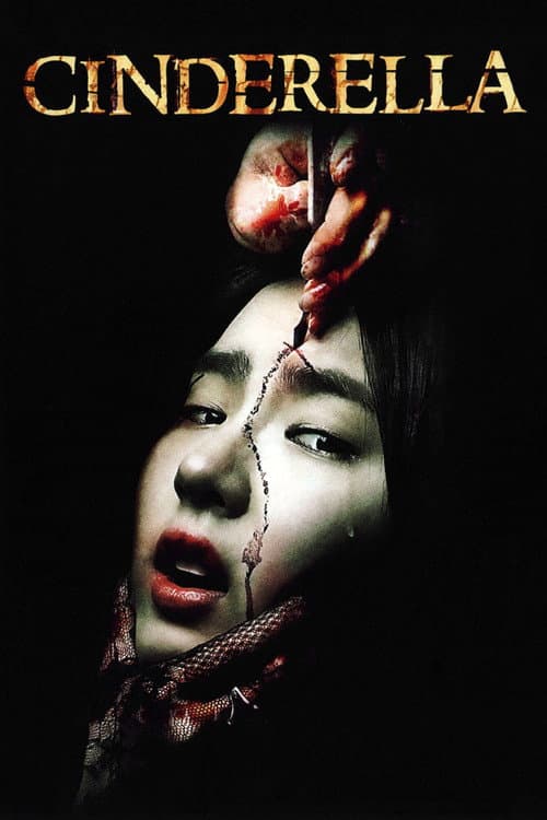 신데렐라 (2006) movie poster