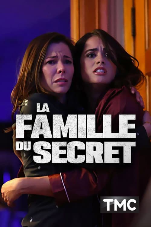Affiche du film A Dangerous Defense (2021)