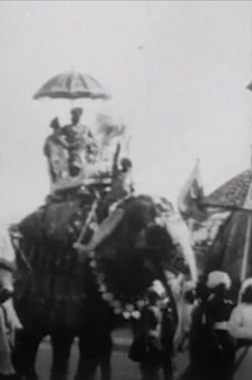 Procession of Elephants with Howdahs - India (1905) movie poster