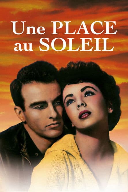 Affiche du film A Place in the Sun (1951)