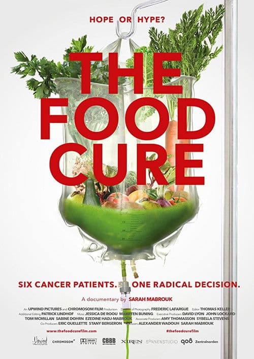 The Food Cure: Hope or Hype? (2018) movie poster