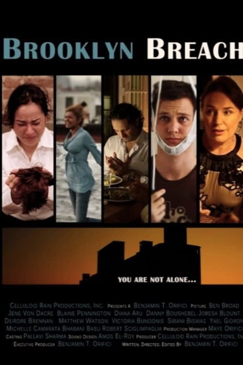 Affiche du film Brooklyn Breach (2012)