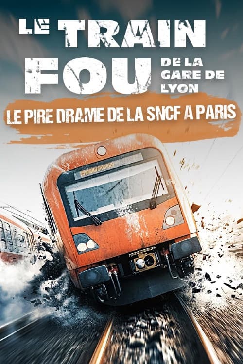 Affiche du film Le train fou de la Gare de Lyon (2017)